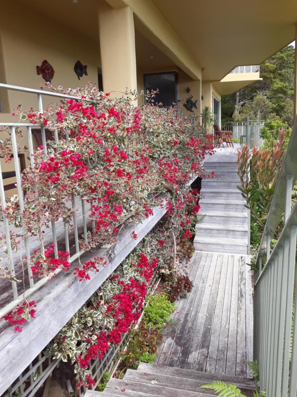 Allegra House Paihia Bagian luar foto